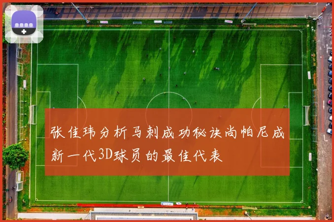 张佳玮分析马刺成功秘诀尚帕尼成新一代3D球员的最佳代表